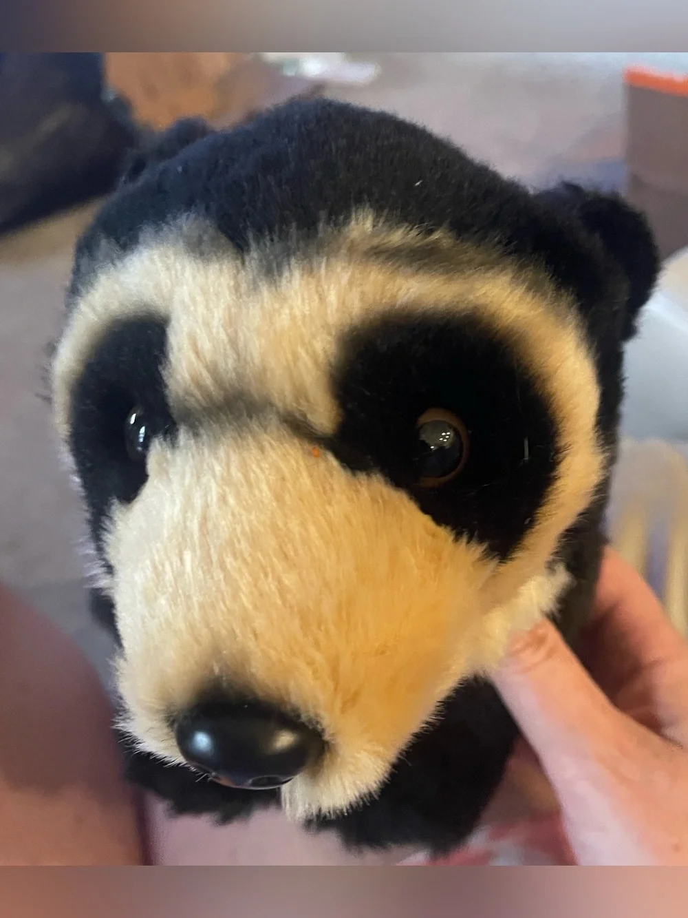 Wildlife Tree Sun Bear Plush Stuffed Animal 12” Realistic Black & Tan Bear 🐻